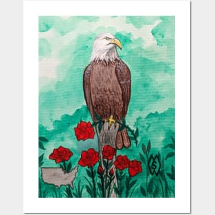 United States National bird and flower, the bald eagle and rose Posters and Art